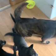 ヒメ日記 2025/06/20 14:49 投稿 島田　彩 エンジェルコースト