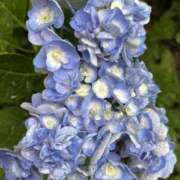 ヒメ日記 2025/07/02 11:01 投稿 島田　彩 エンジェルコースト