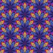 ヒメ日記 2025/07/04 21:40 投稿 島田　彩 エンジェルコースト