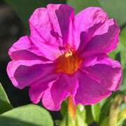 ヒメ日記 2025/07/08 21:19 投稿 島田　彩 エンジェルコースト