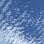 ヒメ日記 2025/07/09 09:43 投稿 島田　彩 エンジェルコースト