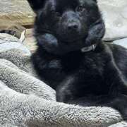 ヒメ日記 2025/07/09 14:44 投稿 島田　彩 エンジェルコースト