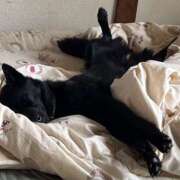 ヒメ日記 2025/07/13 18:39 投稿 島田　彩 エンジェルコースト