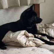 ヒメ日記 2025/07/15 20:49 投稿 島田　彩 エンジェルコースト