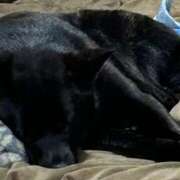 ヒメ日記 2025/07/16 16:40 投稿 島田　彩 エンジェルコースト