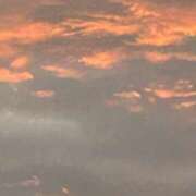 ヒメ日記 2025/07/17 21:17 投稿 島田　彩 エンジェルコースト