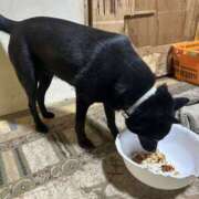 ヒメ日記 2025/07/25 19:57 投稿 島田　彩 エンジェルコースト