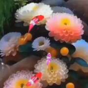 ヒメ日記 2025/07/29 10:09 投稿 島田　彩 エンジェルコースト