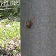 ヒメ日記 2025/08/18 16:32 投稿 島田　彩 エンジェルコースト