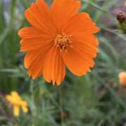 ヒメ日記 2025/09/19 10:41 投稿 島田　彩 エンジェルコースト