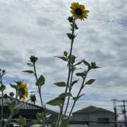 ヒメ日記 2025/09/20 09:43 投稿 島田　彩 エンジェルコースト