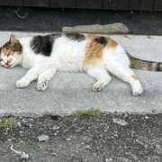 ヒメ日記 2025/09/22 11:02 投稿 島田　彩 エンジェルコースト