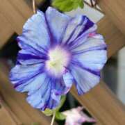 ヒメ日記 2025/09/28 09:41 投稿 島田　彩 エンジェルコースト