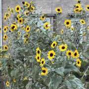 ヒメ日記 2025/10/02 09:06 投稿 島田　彩 エンジェルコースト