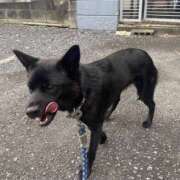 ヒメ日記 2025/10/03 12:15 投稿 島田　彩 エンジェルコースト