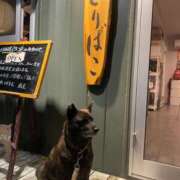 ヒメ日記 2025/10/03 19:56 投稿 島田　彩 エンジェルコースト