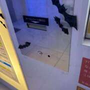 ヒメ日記 2025/10/08 07:42 投稿 島田　彩 エンジェルコースト