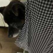 ヒメ日記 2025/10/11 18:31 投稿 島田　彩 エンジェルコースト