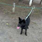 ヒメ日記 2025/10/11 21:55 投稿 島田　彩 エンジェルコースト