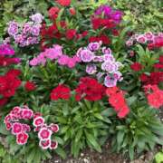 ヒメ日記 2025/10/14 18:54 投稿 島田　彩 エンジェルコースト