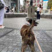 ヒメ日記 2025/10/19 10:50 投稿 島田　彩 エンジェルコースト