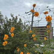 ヒメ日記 2025/10/20 09:46 投稿 島田　彩 エンジェルコースト