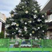 ヒメ日記 2025/10/31 10:43 投稿 島田　彩 エンジェルコースト