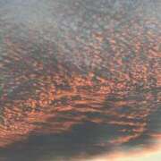 ヒメ日記 2025/11/06 20:21 投稿 島田　彩 エンジェルコースト