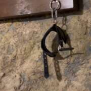 ヒメ日記 2025/11/08 09:30 投稿 島田　彩 エンジェルコースト