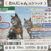 ヒメ日記 2025/11/11 21:59 投稿 島田　彩 エンジェルコースト