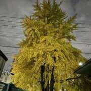 ヒメ日記 2025/11/16 13:00 投稿 島田　彩 エンジェルコースト