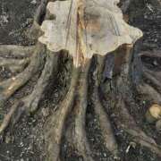 ヒメ日記 2025/11/16 16:56 投稿 島田　彩 エンジェルコースト