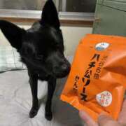 ヒメ日記 2025/11/18 10:34 投稿 島田　彩 エンジェルコースト