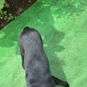 ヒメ日記 2025/11/21 20:50 投稿 島田　彩 エンジェルコースト