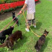 ヒメ日記 2025/11/23 13:47 投稿 島田　彩 エンジェルコースト