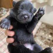 ヒメ日記 2025/11/24 09:42 投稿 島田　彩 エンジェルコースト