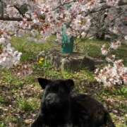 ヒメ日記 2025/11/24 14:14 投稿 島田　彩 エンジェルコースト