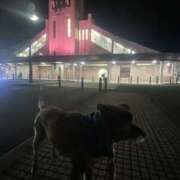 ヒメ日記 2025/11/24 21:53 投稿 島田　彩 エンジェルコースト