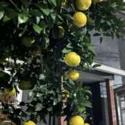 ヒメ日記 2025/11/26 09:28 投稿 島田　彩 エンジェルコースト