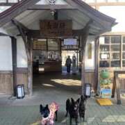 ヒメ日記 2025/11/27 07:07 投稿 島田　彩 エンジェルコースト