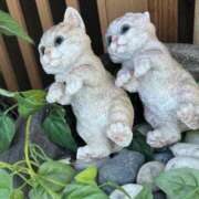 ヒメ日記 2025/11/27 09:21 投稿 島田　彩 エンジェルコースト