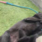 ヒメ日記 2025/11/27 20:41 投稿 島田 彩 エンジェルコースト