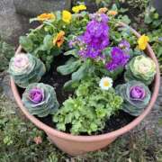 ヒメ日記 2025/12/01 07:09 投稿 島田　彩 エンジェルコースト