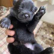 ヒメ日記 2025/12/01 09:33 投稿 島田　彩 エンジェルコースト