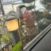 ヒメ日記 2025/12/04 10:16 投稿 島田　彩 エンジェルコースト