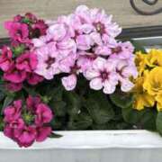 ヒメ日記 2025/12/06 07:09 投稿 島田　彩 エンジェルコースト