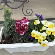 ヒメ日記 2025/12/06 09:09 投稿 島田　彩 エンジェルコースト