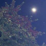 ヒメ日記 2025/12/07 20:48 投稿 島田　彩 エンジェルコースト