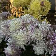 島田　彩 出勤準備中 エンジェルコースト