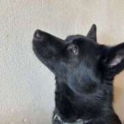 ヒメ日記 2025/12/16 00:12 投稿 島田　彩 エンジェルコースト